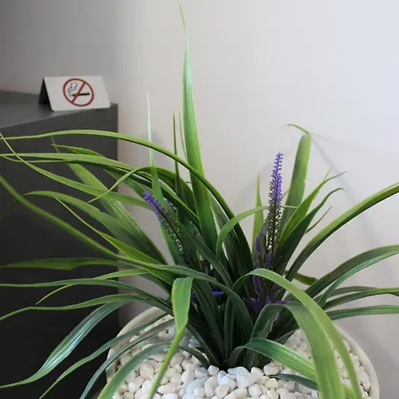 Candy 26 فيلينغراد